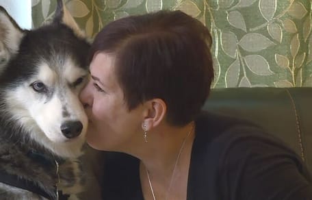 husky individua tumore