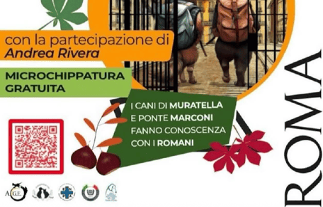 Il Canile va in città