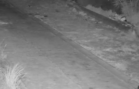 Image de surveillance