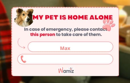 In Case Of Emergency card