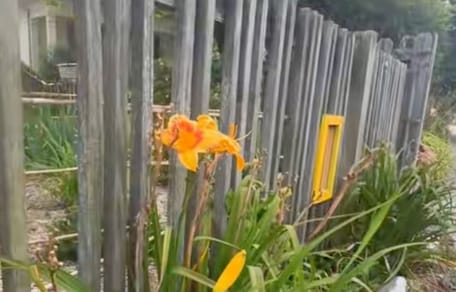 Garden installations