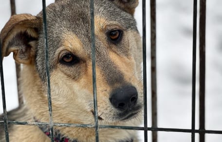 Interwencja w Kuflewie