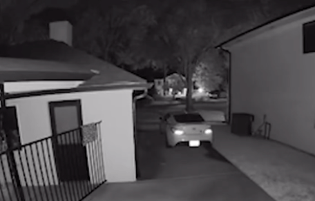 Intrus dans le jardin