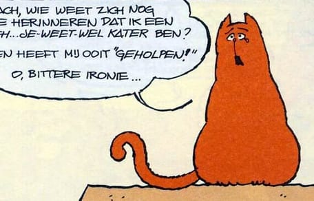 Wie is Edgar Allen Poes: de je-weet-wel-kater van Jan, Jans en de kinderen