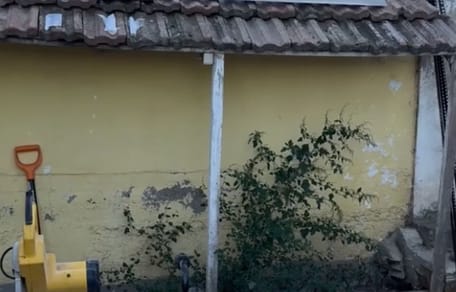Jardín de una casa