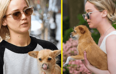 Jennifer Lowrence con il cane