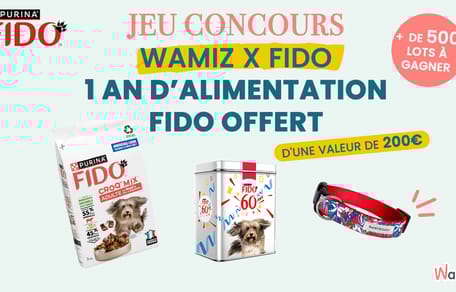 FIDO et Wamiz  lancent le grand jeu de Noël : un an d’alimentation pour votre chien et des lots collector à gagner