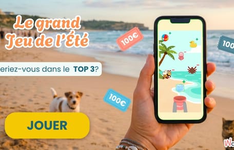 Jeu de l'été Wamiz