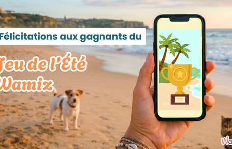 Jeu de l'été wamiz