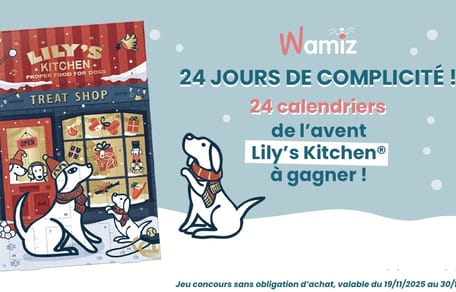 Jeu de Noël Lily's Kitchen