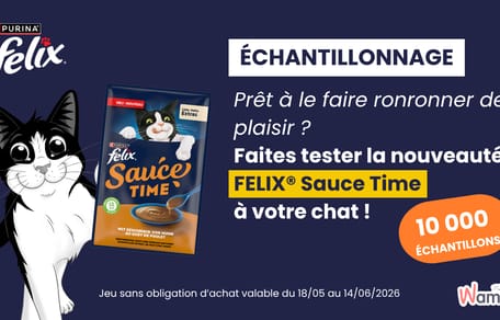 Jeu Felix Sauce