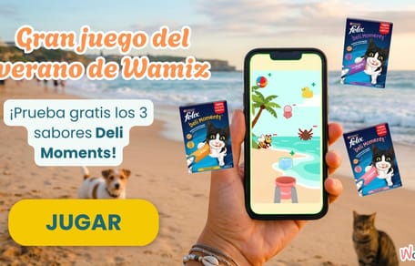 Juego del verano de Wamiz