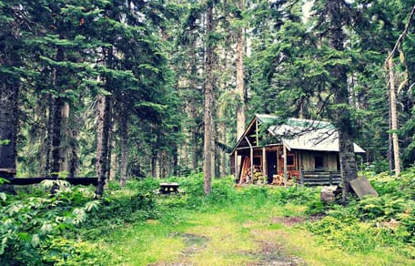 Kätzchen Rhön-Hütte