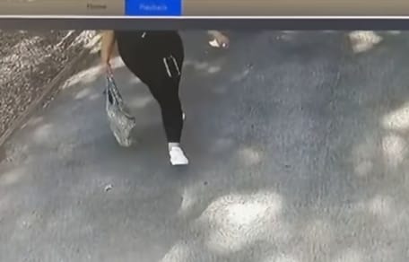 Kamera nimmt Frau mit Tasche auf