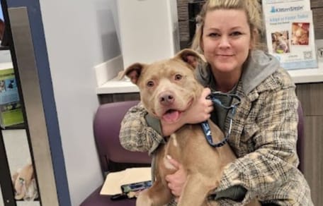 Elle fait des recherches en ligne à propos du chien de son fils : la vérité est glaçante