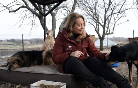 Karen gaat Oekraïnse steden af om dieren te redden
