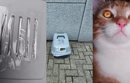 Kat gedumpt met ventilatieroosters afgeplakt