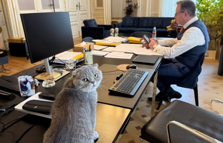 Kat Maximus de nieuwe rechterhand van Bart de Wever