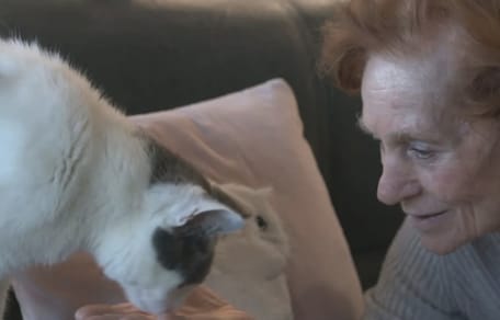 Kattenkamer in woonzorgcentrum Amersfoort groot succes