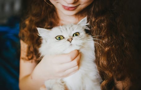 Kids opgelet: 20 kattennamen uit kinderboeken