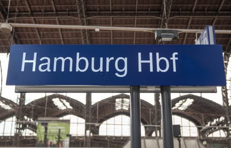 Katze fährt im Zug nach Hamburg