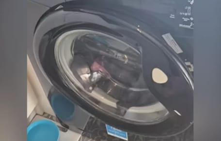 "Katze" in der Waschmaschine