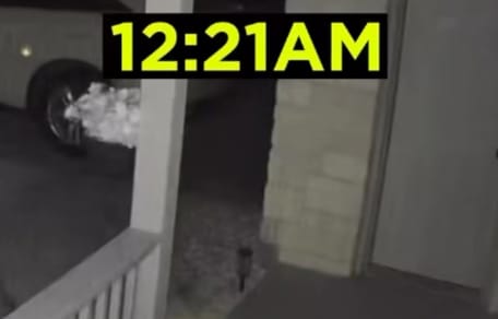 Katze macht nächtlichen Ausflug