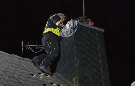 Katze sitzt im Kamin fest