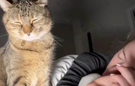 Katze weckt ihre Halterin