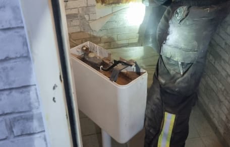 Katzen-Rettung in der Toilette