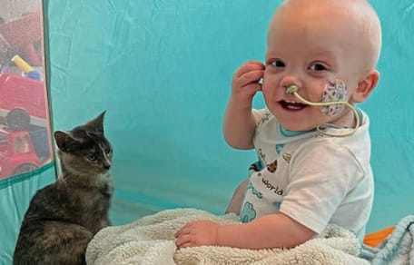 Kleinkind und Katze schauen aus dem Fenster