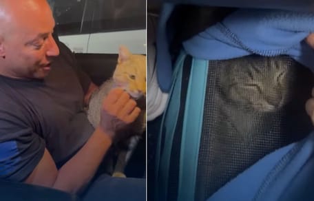 komandos uratował kota