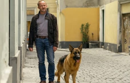 Kommissar Rex: Schäferhund Capo