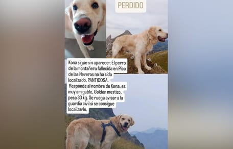 kona-perro-perdido-pirineos-panticosa