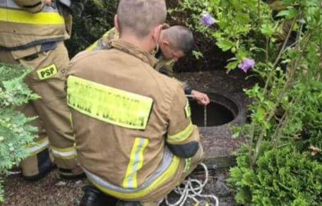 Kitten rescued from a well