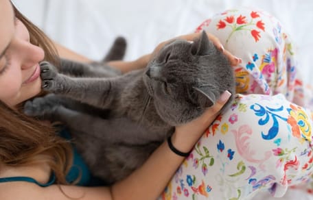 Kot dotyka łapką twarzy