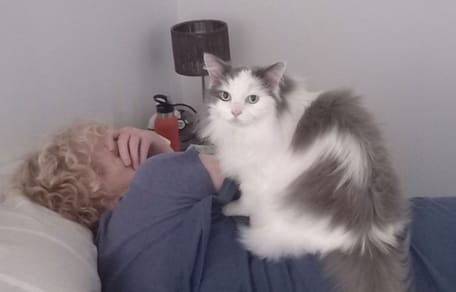 Zostawiła kota u przyjaciółki, ale nie wszystko poszło zgodnie z planem