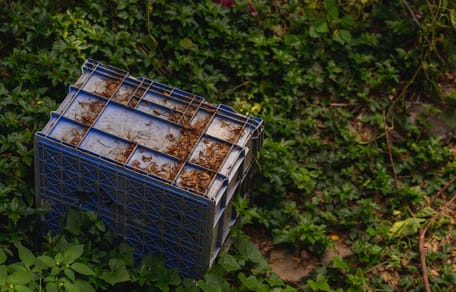 Kunststoffbox im Wald