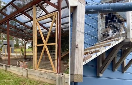 The secure outdoor space for cats