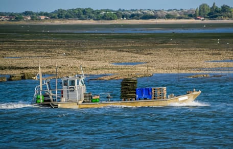 La baie d'Arcachon