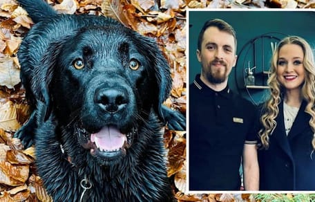 Labrador Gus und seine Halter