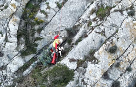Le chien hissé par un pompier