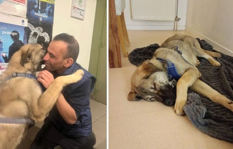 Le chiot Berger d'Anatolie et l'enquêteur Abdel Boudjemaa