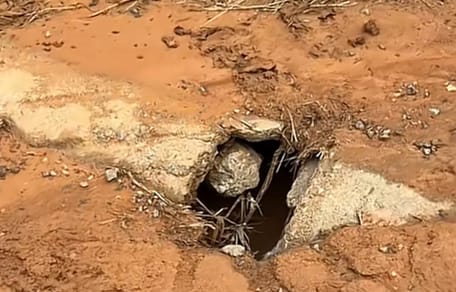 Le trou dans lequel se trouvait le chien