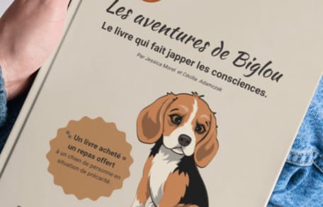 Les Aventures de Biglou