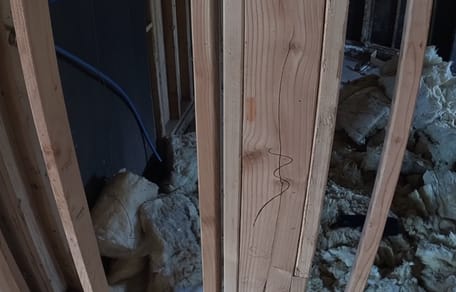 The security camera footage