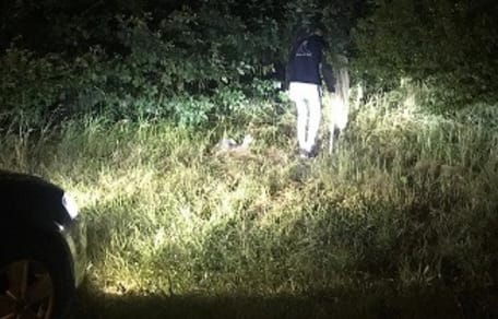 I soccorritori cercano disperatamente i gattini