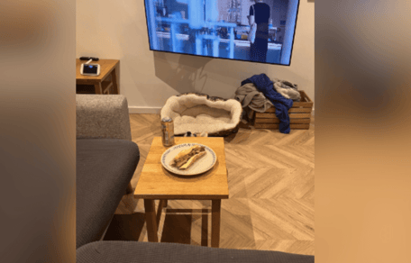 Salón con corgi escondido