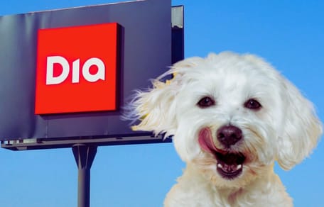 ¿Los perros pueden entrar en supermercados DIA?