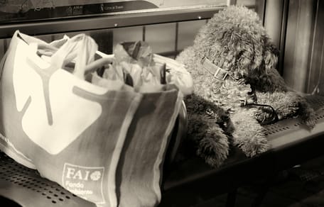 Mag een hond mee in de bus?